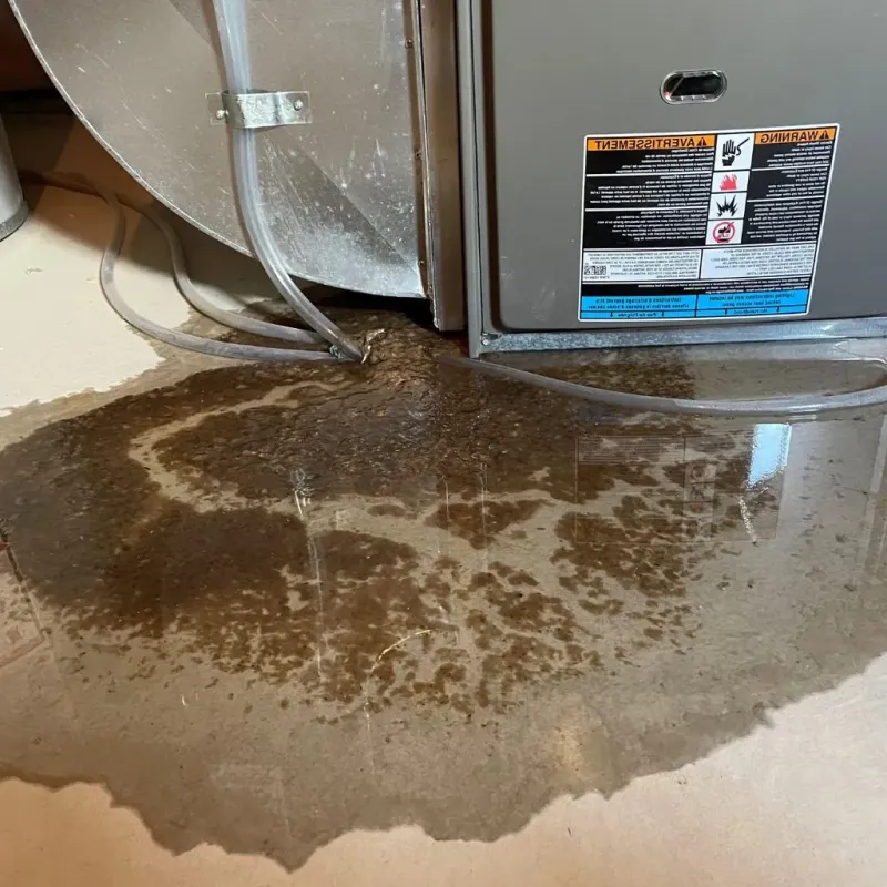 Pipe Burst and Leak Restoration in Elwood, UT