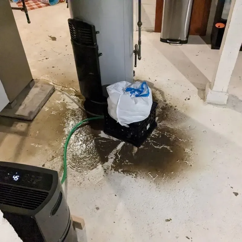 Sewage Backup Cleanup Service in Elwood, UT